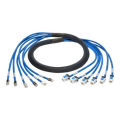 Ethernet Pre-terminated CAT6A Trunk Cable